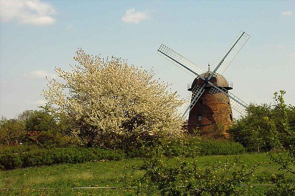 SDIM4010.jpg