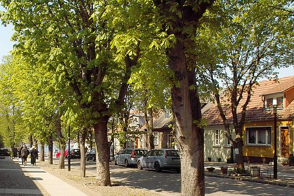3941.jpg